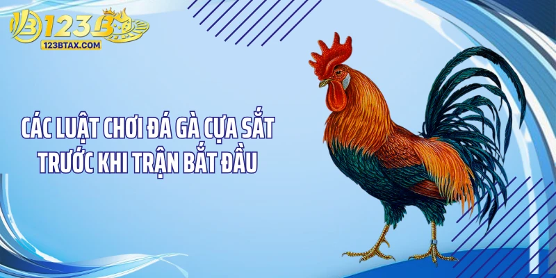 Luật Chơi Đá Gà Cựa Sắt - Chấn Động Sàn Đấu, Hốt Bạc Tỷ 3 Các luật chơi đá gà cựa sắt trước khi trận bắt đầu