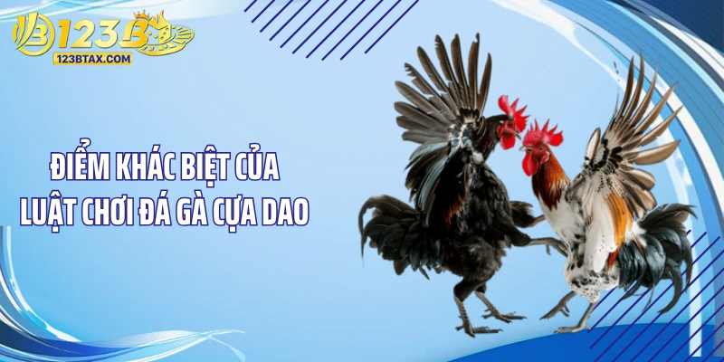 Luật Chơi Đá Gà Cựa Dao: "Chấn Động" Với Bí Kíp Cực Dị 2 Điểm khác biệt của luật chơi đá gà cựa dao