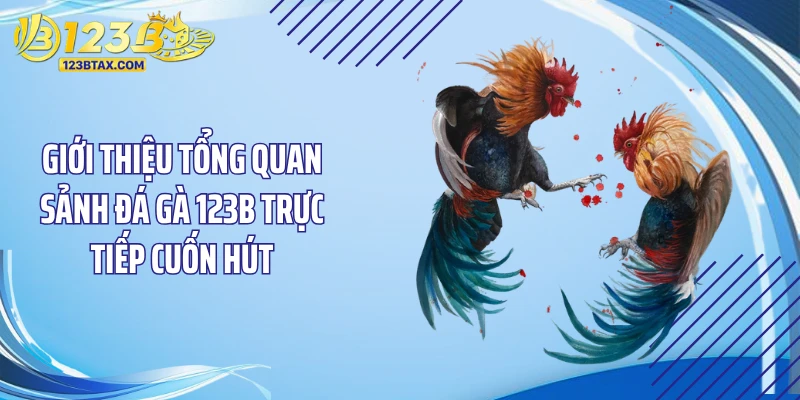 Giới thiệu tổng quan sảnh đá gà 123B trực tiếp cuốn hút