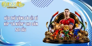 Kèo Thẻ Vàng Là Gì? Bí Kíp "Cá Kiếm" Cho Dân Soi Cầu 