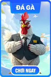 123B đá gà banner