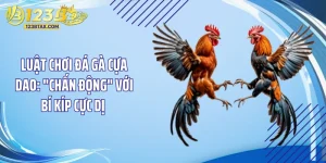 Luật Chơi Đá Gà Cựa Dao: "Chấn Động" Với Bí Kíp Cực Dị 
