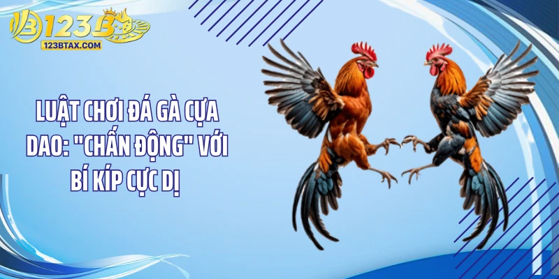 Luật Chơi Đá Gà Cựa Dao: "Chấn Động" Với Bí Kíp Cực Dị 