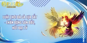 Luật Chơi Đá Gà Cựa Sắt - Chấn Động Sàn Đấu, Hốt Bạc Tỷ