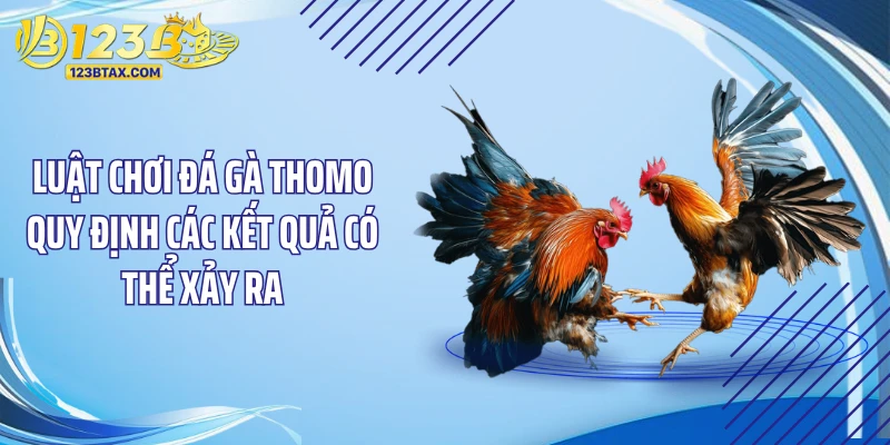 Luật Chơi Đá Gà Thomo: "Độc Chiêu" Cược Là Ăn Đậm 4 Luật chơi đá gà Thomo quy định các kết quả có thể xảy ra