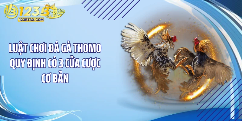Luật Chơi Đá Gà Thomo: "Độc Chiêu" Cược Là Ăn Đậm 3 Luật chơi đá gà Thomo quy định có 3 cửa cược cơ bản