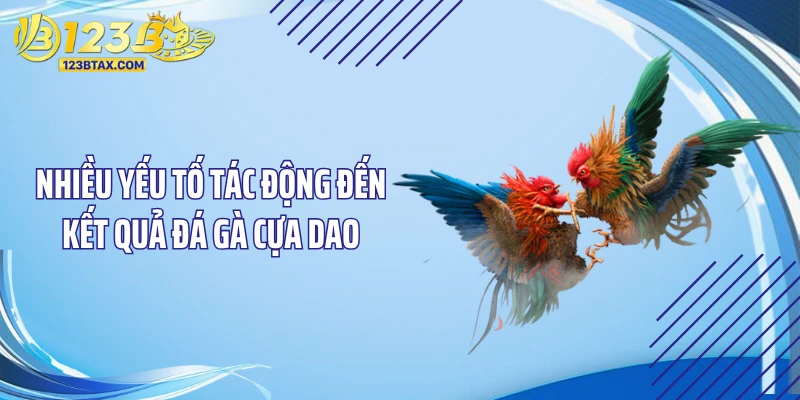 Luật Chơi Đá Gà Cựa Dao: "Chấn Động" Với Bí Kíp Cực Dị 5 Nhiều yếu tố tác động đến kết quả đá gà cựa dao